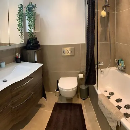 Wef 2026 Ferienwohnung, 1min Von Kongresshaus * Davos