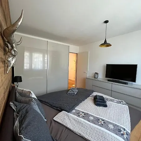 Wef 2026 Ferienwohnung, 1min Von Kongresshaus