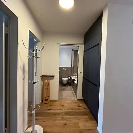 Wef 2026 Ferienwohnung, 1min Von Kongresshaus *