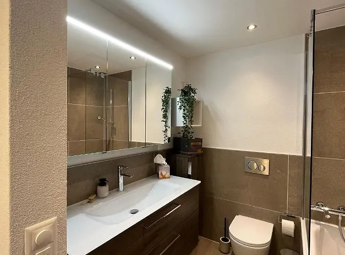 Wef 2027 Ferienwohnung, 3 Minuten Fussweg Zum Kongresshaus, Geeignet Fuer 2 Personen Davos