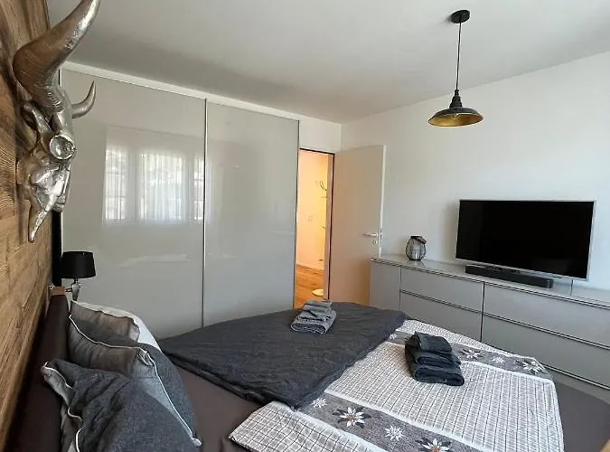 Wef 2027 Ferienwohnung, 3 Minuten Fussweg Zum Kongresshaus, Geeignet Fuer 2 Personen